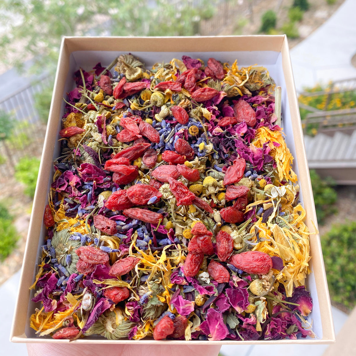 Forage Mixes – FluffyBunConfections