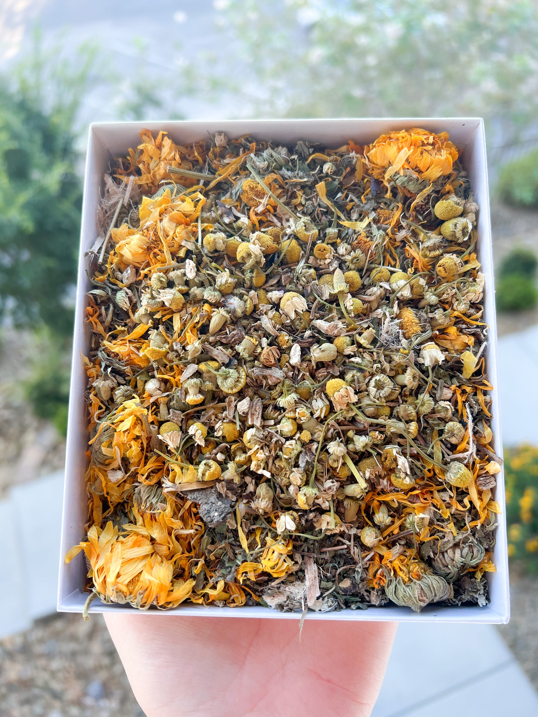 Forage Mixes – FluffyBunConfections